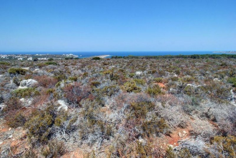 Kalathas Kreta, Kalathas: Grundstück mit herrlichem Blick auf das Meer und die Weißen Berge zu verkaufen Grundstück kaufen